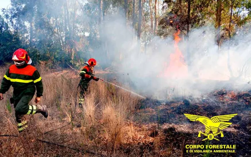 Incendio Segariu Guasilia