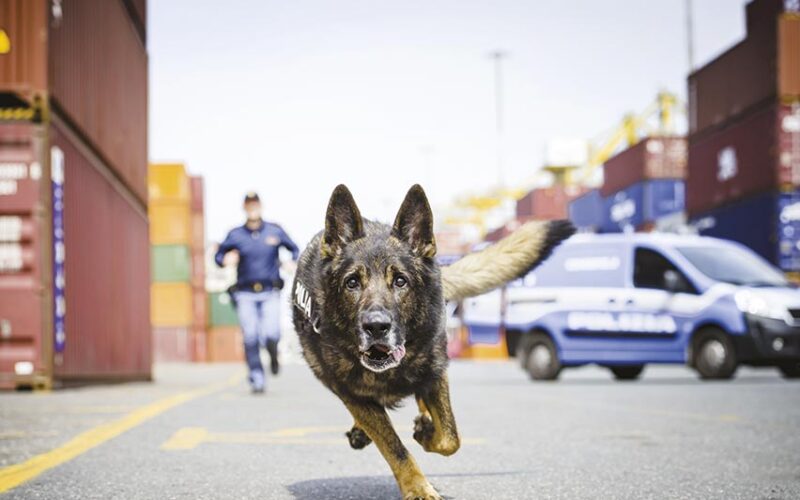 Polizia Stato al servizio del Paese