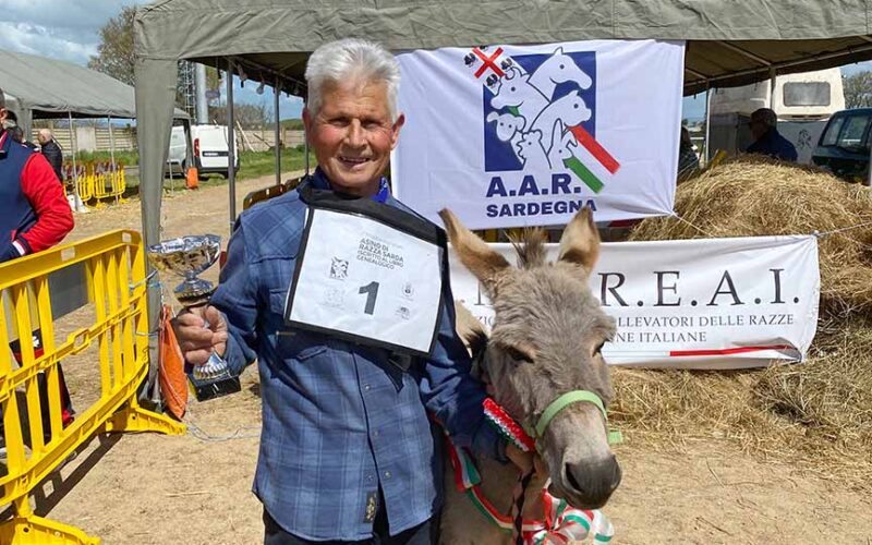 Sotero Satta e asinella Chilivani mostra asino ittireddu