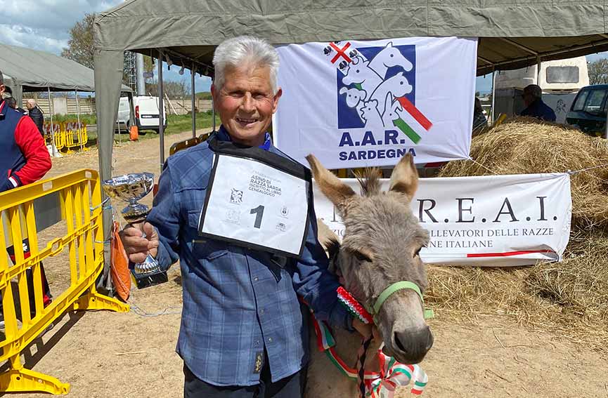 Sotero Satta e asinella Chilivani mostra asino ittireddu