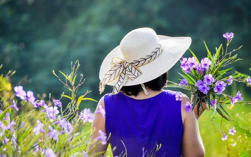 Primavera in Viola Ozieri Cav