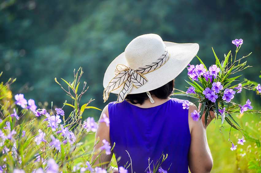 Primavera in Viola Ozieri Cav