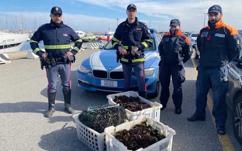 Stradale Distaccamento di Bitti sequestro Ricci di Mare3