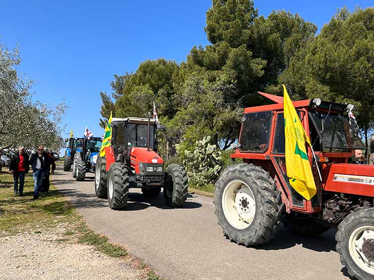 Manifestazione Barumini