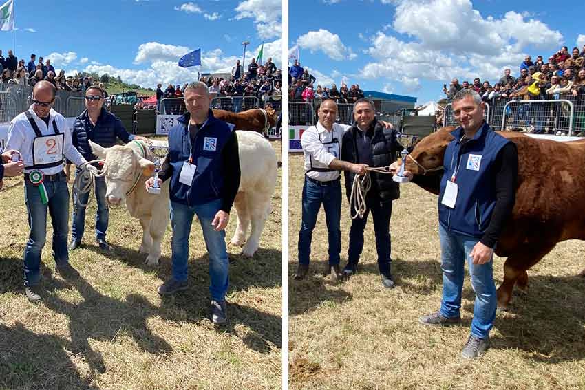 Tinuccio e Sansone Vincitori Mostra bovino da carne Ozieri