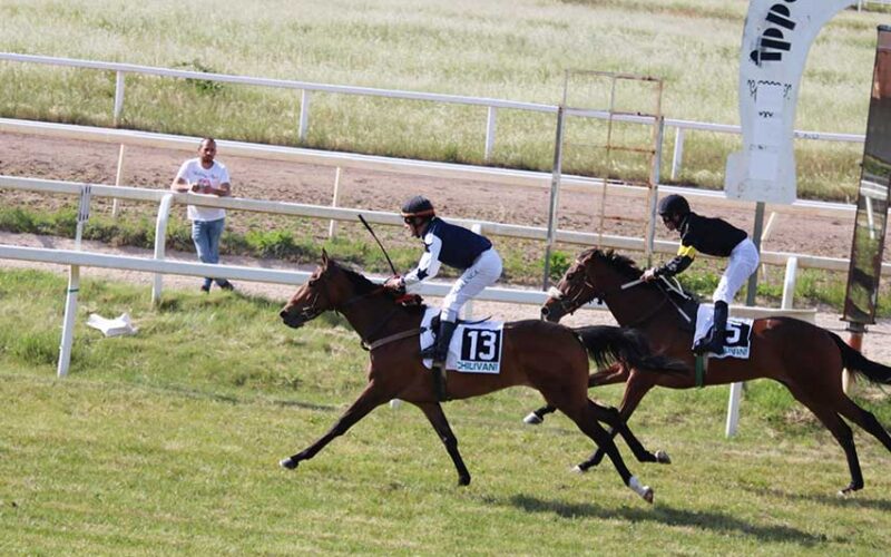 ippodromo di chilivani vittoria di Eretica