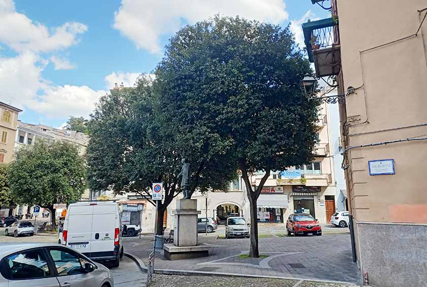 Alberi piazza Cantareddu