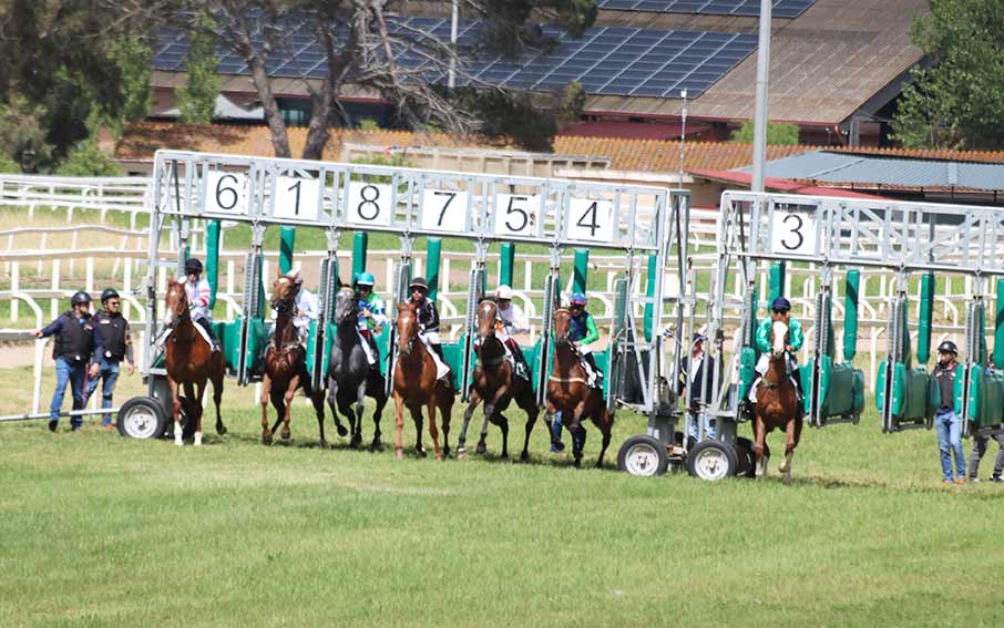 Partenza corse ippodromo di Chilivani