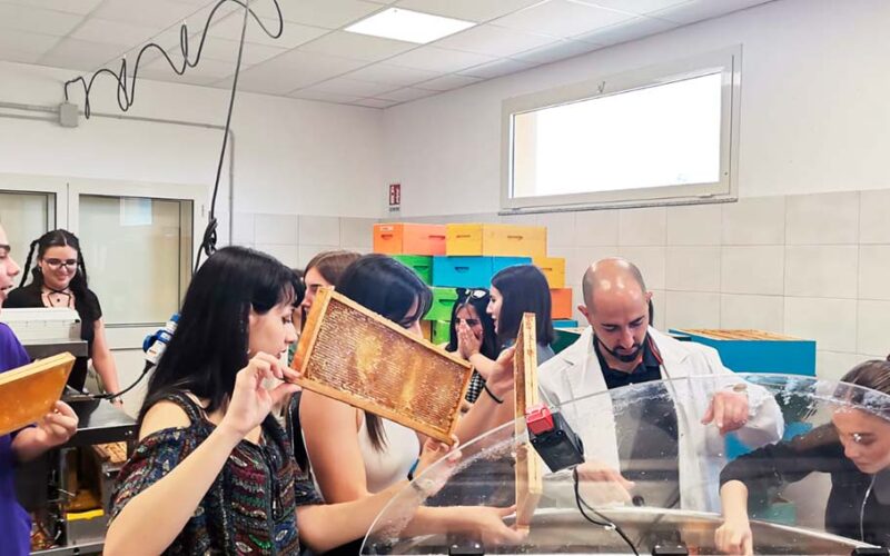 Studenti del liceo Segni durante il progetto Aristeo