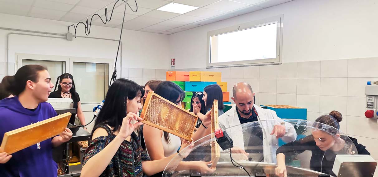 Studenti del liceo Segni durante il progetto Aristeo