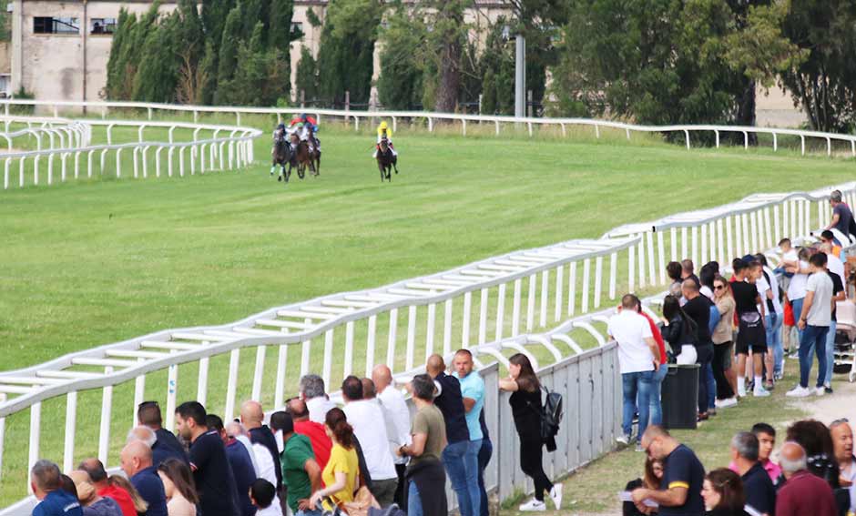 ippodromo di Chilivani parterre