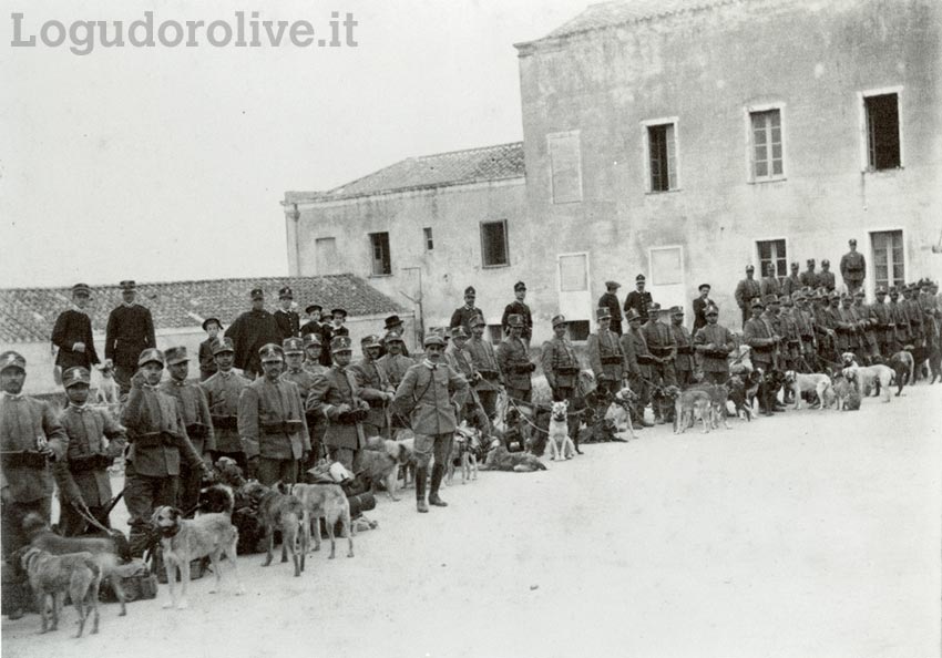 Militari con cani