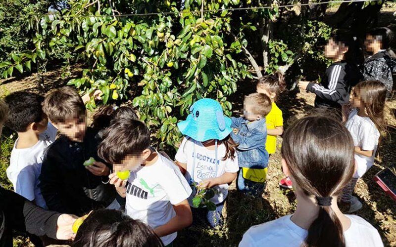 Progetto Bioveg bambini di lode