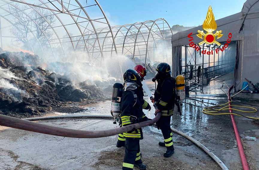 incendio azienda agricola Fonni