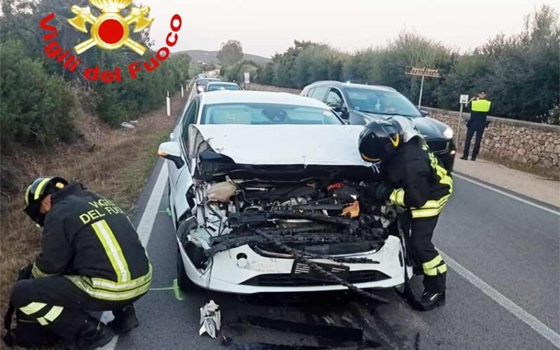 Incidente Palau Statale 133