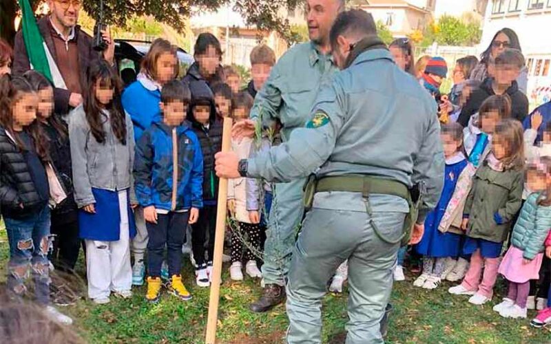 Albero dedicato a Giulia Monti 1