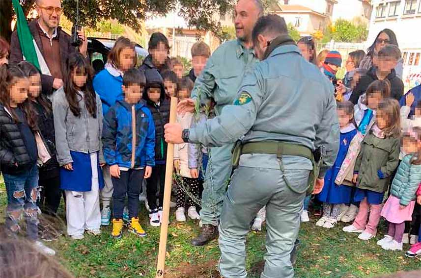 Albero dedicato a Giulia Monti 1