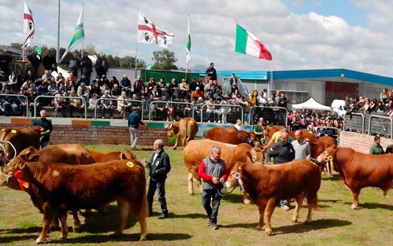 Fiera zootecnica Ozieri