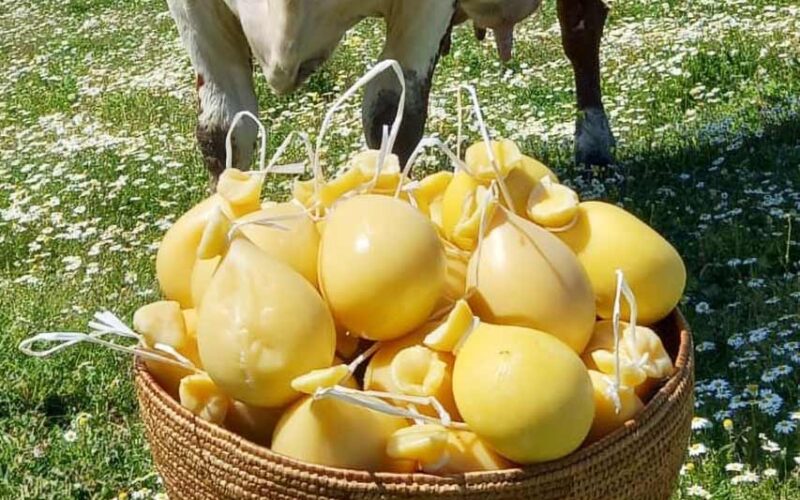 Casizolu Brau Farm Orotelli Cheese Awards 2024