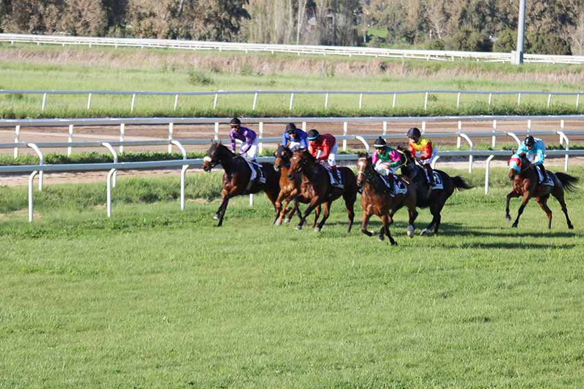 Ippodromo Chilivani corsa cavalli