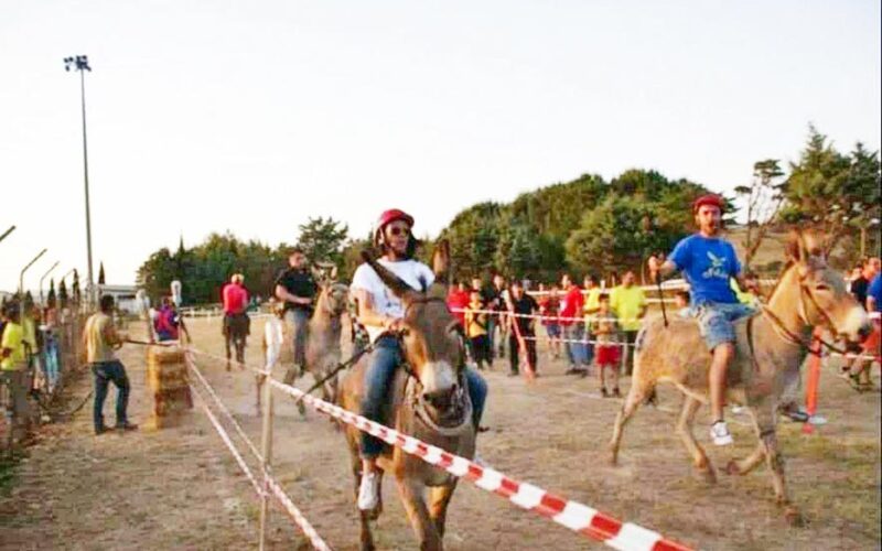 Palio degli asinelli San Nicola