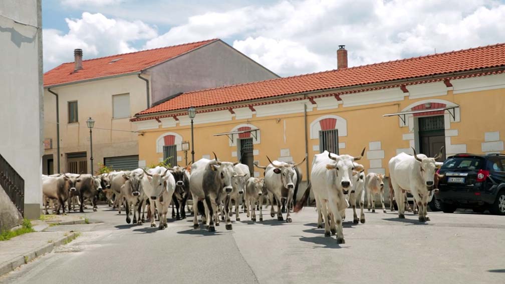 Asincronie Off under 35, a Sassari i giovani filmmaker con i loro documentari 1 Assincronie Off Sassari