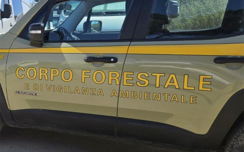 Corpo Forestale