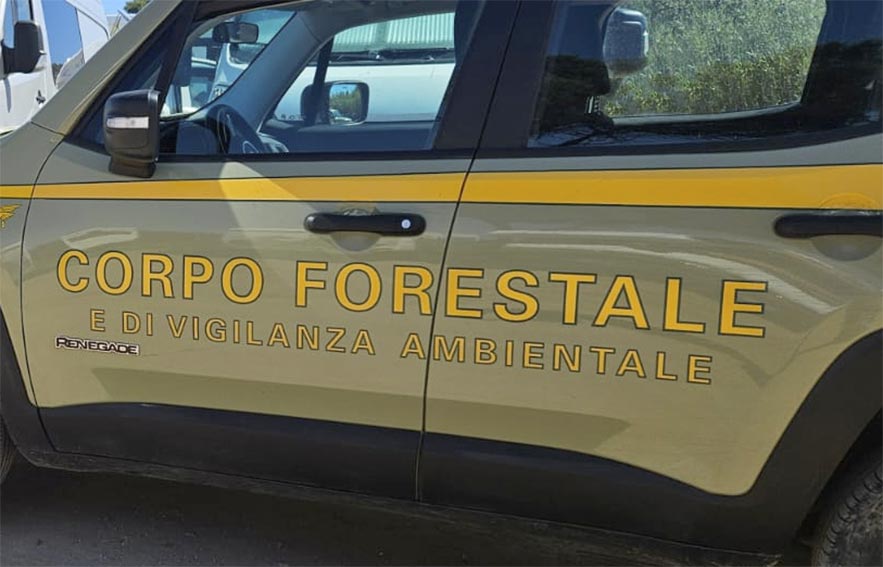 Ozieri, sequestrate due discariche abusive di auto e rifiuti speciali 1 Corpo Forestale