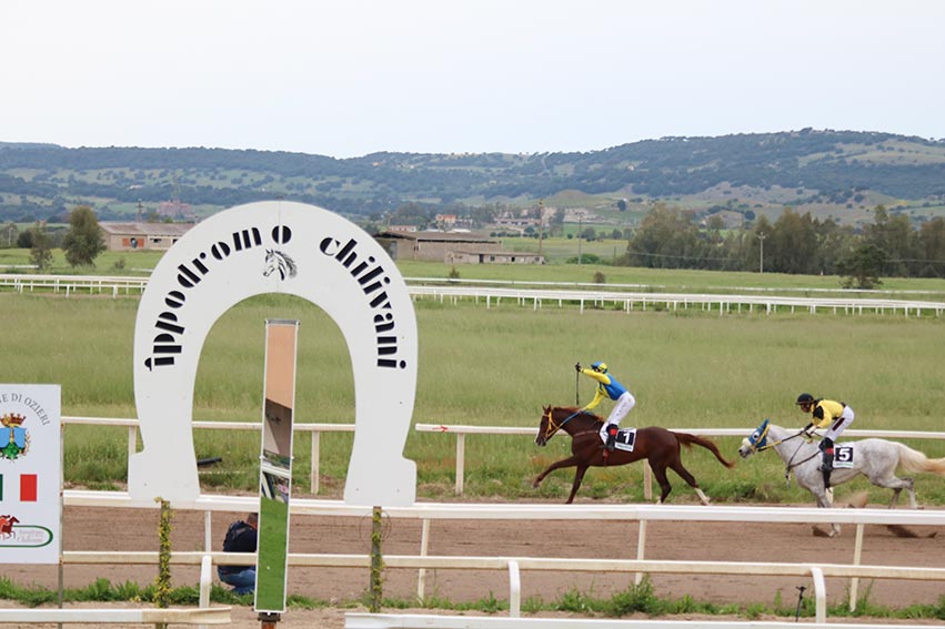 Ippodromo Chilivani, sesta giornata di corse con 72 cavalli iscritti 1 Galateo Giulio Cesare