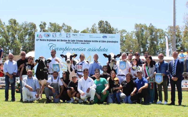 Mostra Bovino da Latte 2025 i vincitori