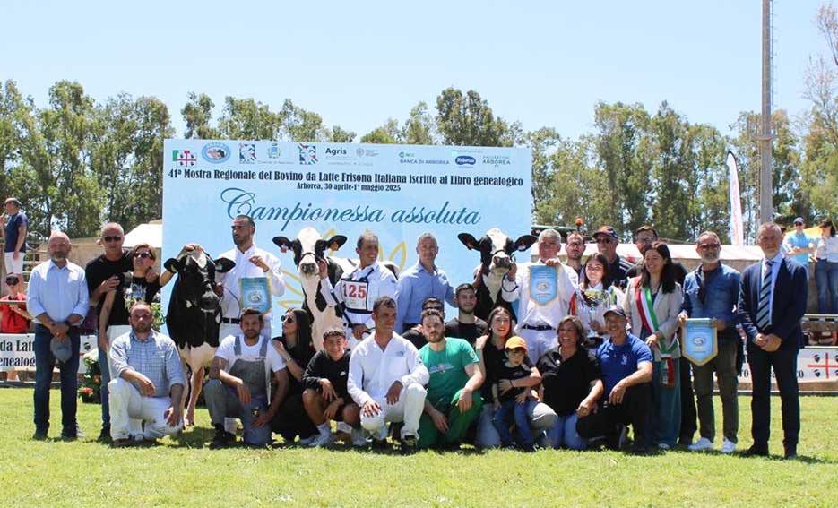 La Mostra del bovino da latte di Arborea chiusa con il trionfo dell'azienda Beltrame 1 Mostra Bovino da Latte 2025 i vincitori