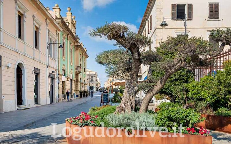Olbia centro
