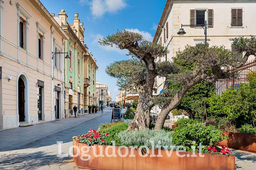 Olbia, i commercianti preoccupati per il dilagare del consumo di droga nelle vie del centro 1 Olbia centro