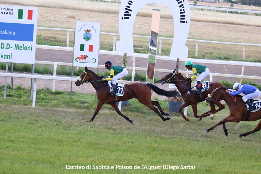 Ippodromo di Chilivani, resoconto della 7ª giornata di corse 1 Sabina e Poison de lAlguer