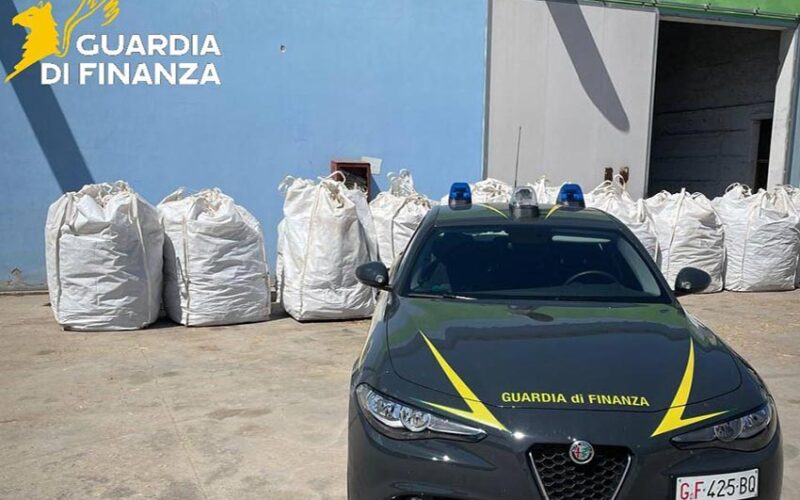 Sequestro cannabis guardia Finanza Ozieri