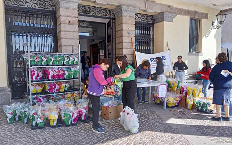 Una begonia per Astafos Pattada