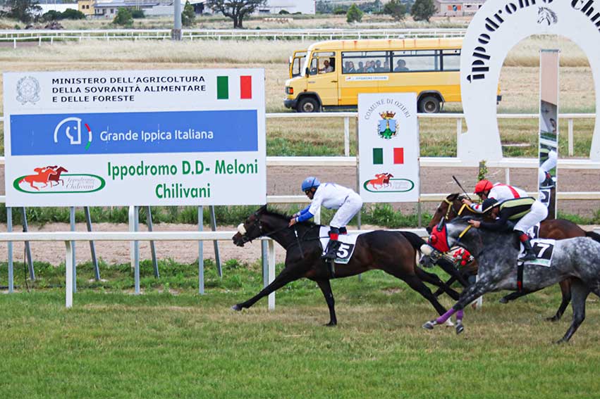 All'Ippodromo di Chilivani il 22esimo appuntamento con le corse dedicate ai Club Rotary della Sardegna 1 Universoemarmo Monte Rasu