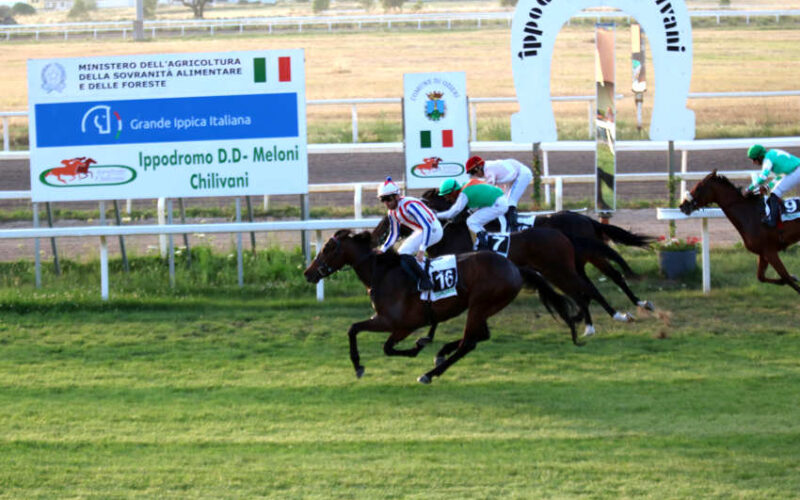 Arrivo Miro Gioiamu IMG 3313