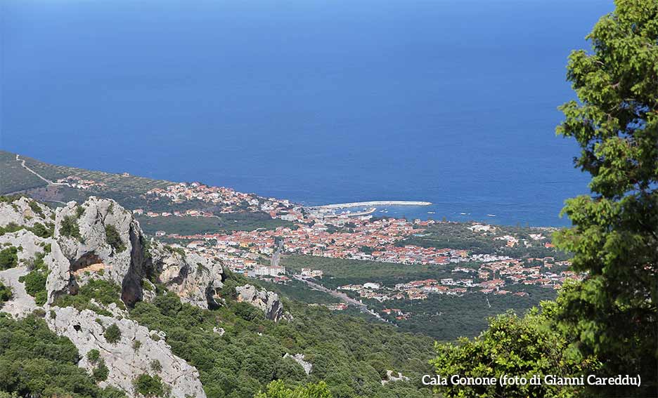 A Cala Gonone un viaggio tra cultura, gusto e musica con "Le Notti del Vino" 1 Cala Gonone