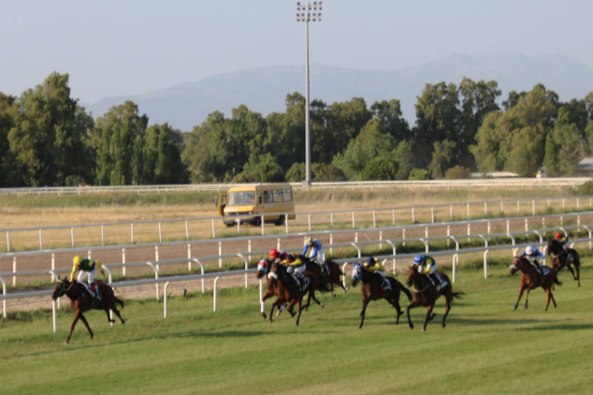 All'Ippodromo di Chilivani irrompe il 39° Meeting internazionale dell’arabo e dell’anglo arabo 1 Cavalli in arrivo
