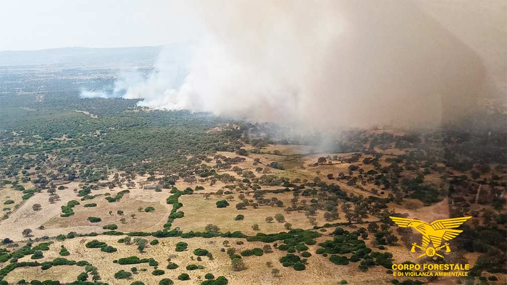 Incendio a Dualchi, in azione elicotteri e canadair 1 Incendio Dualchi