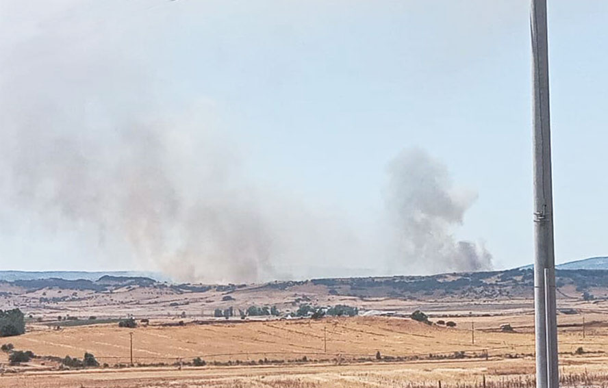 Grosso incendio nelle campagne di Ozieri, in azione i mezzi aerei regionali 1 Incendio Ozieri