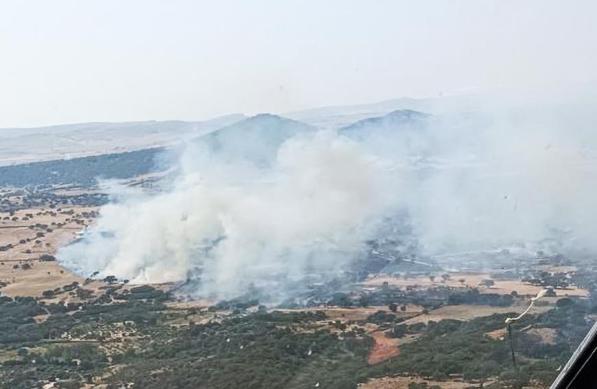 Incendio Siligo