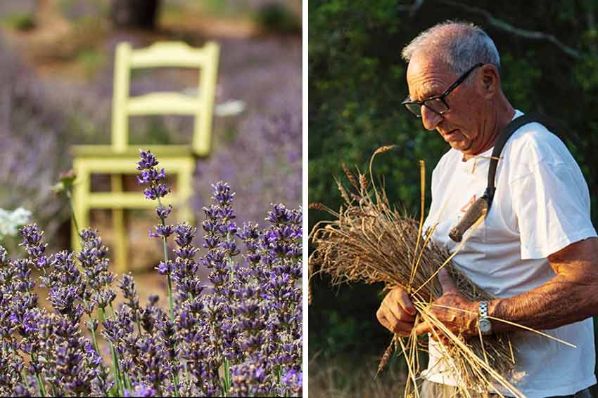 Venerdì a Luogosanto il primo appuntamento di “InVita - La via dei Borghi” 1 Luogosanto InVita