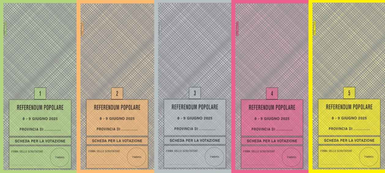 Schede referendum