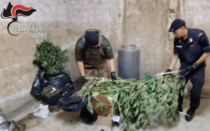 Arresto tortoli marijuana