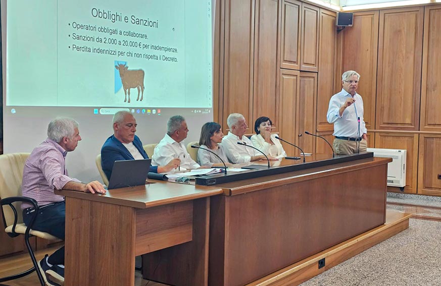 Asl Sassari, il commissario Tauro si presenta alla Conferenza dei Sindaci 3 Conferenza sindaci Asl Sgarangella