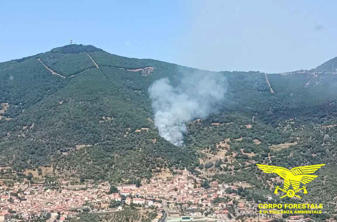 Ennesima giornata di incendi in Sardegna, in 11 località impegnati i mezzi aerei 1 Incendio Bono