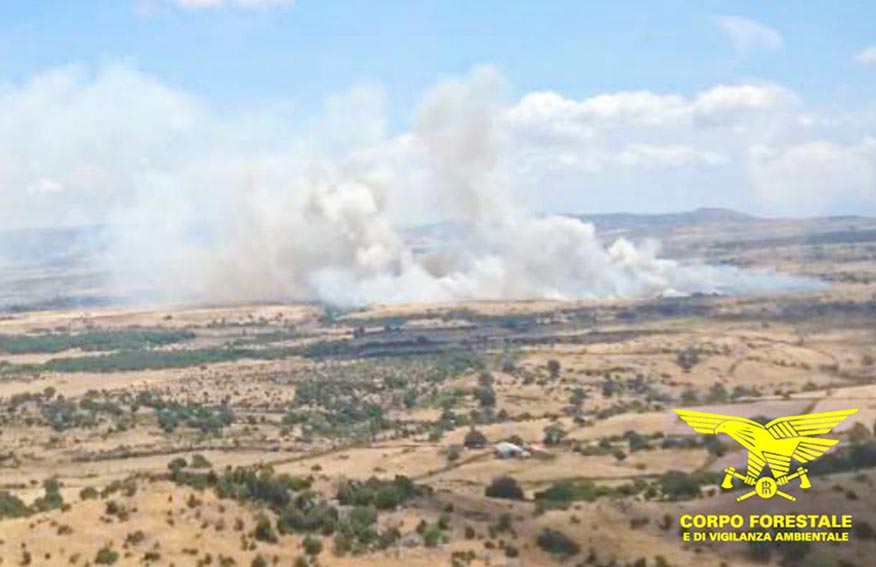 Vasto incendio a Sindia, bruciati oltre 100 ettari di terreno 1 Incendio Sindia