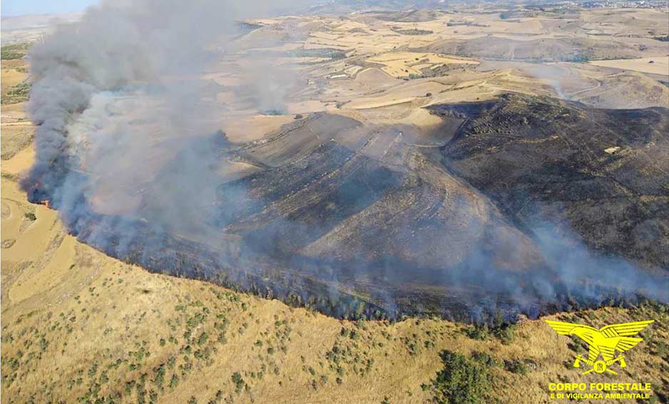 Vasto incendio a Sindia, bruciati oltre 100 ettari di terreno 3 Incendio sardara